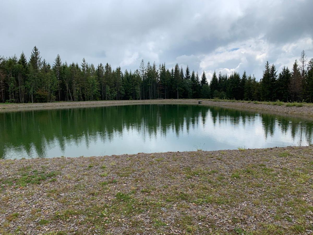 Residenz Schauinsland Todtnauberg - Fewo 17 - Sauna - Spielzimmer Fuer Kinder - Naehe Feldberg Екстер'єр фото